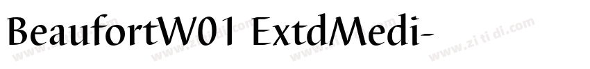 BeaufortW01 ExtdMedi字体转换